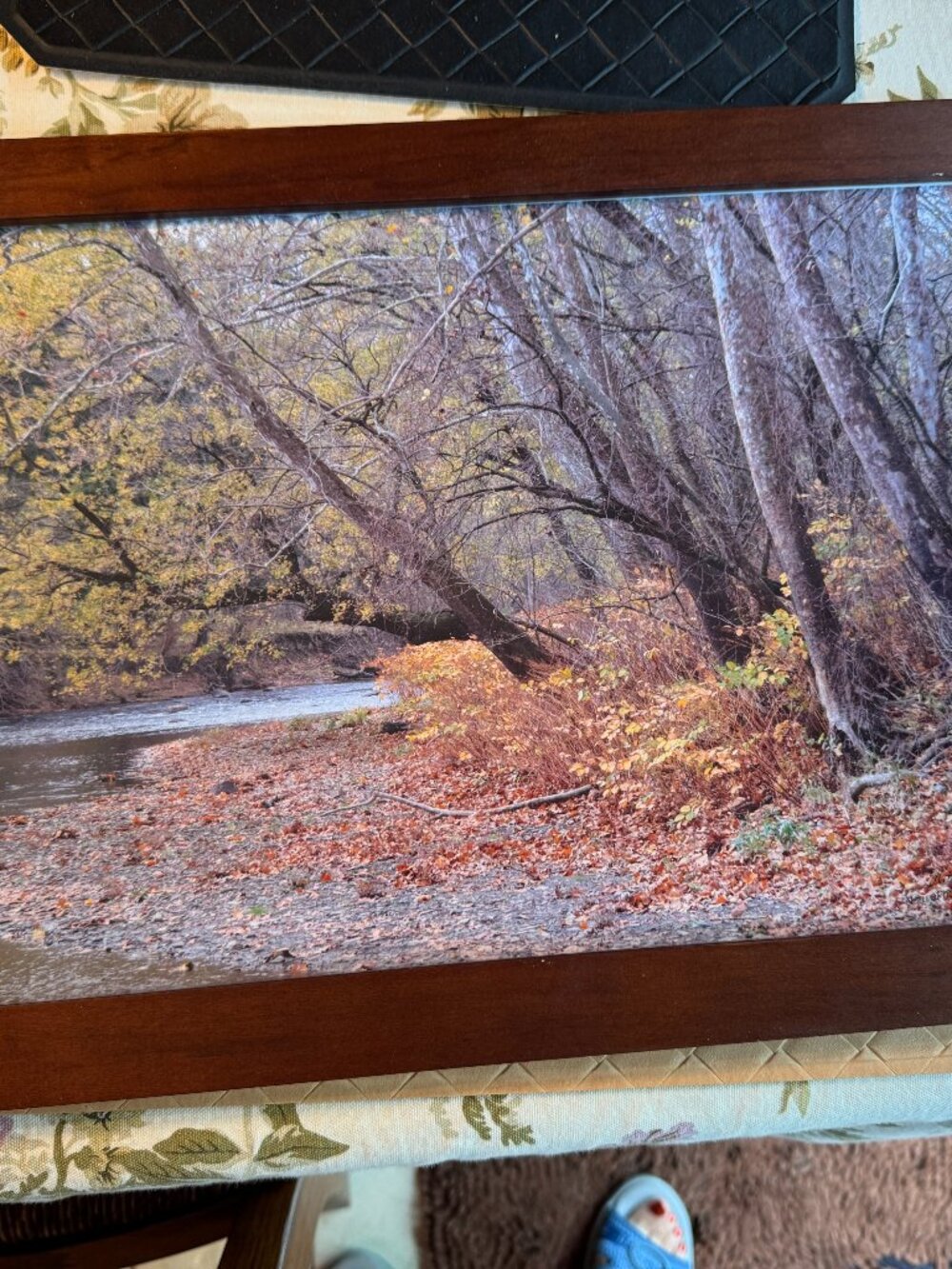Colorful Fall Landscape Photograph Framed 19" x 13" by Hal Mitcheltree